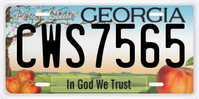 GA license plate CWS7565