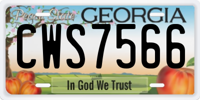 GA license plate CWS7566