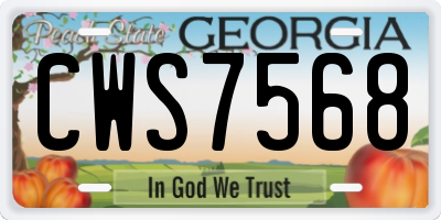 GA license plate CWS7568