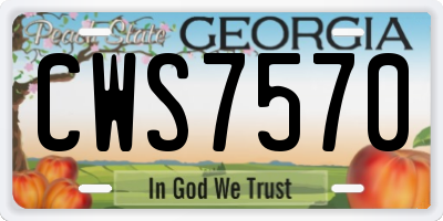 GA license plate CWS7570