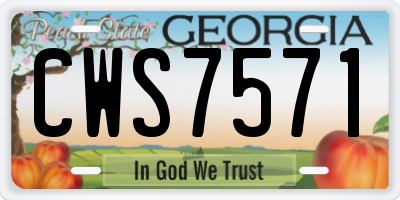 GA license plate CWS7571