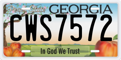 GA license plate CWS7572