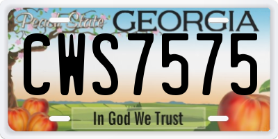 GA license plate CWS7575