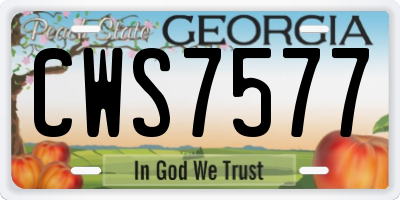 GA license plate CWS7577