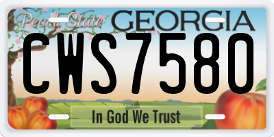GA license plate CWS7580