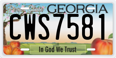 GA license plate CWS7581