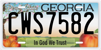 GA license plate CWS7582