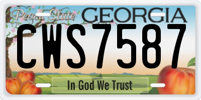 GA license plate CWS7587