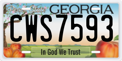 GA license plate CWS7593