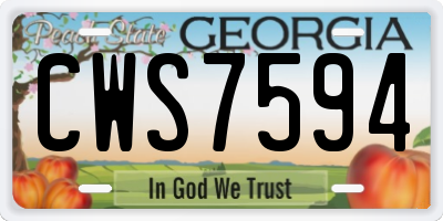 GA license plate CWS7594
