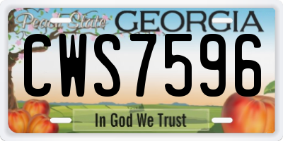 GA license plate CWS7596
