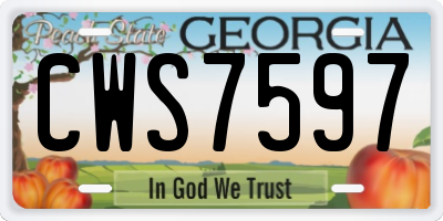 GA license plate CWS7597