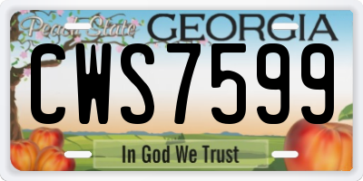 GA license plate CWS7599
