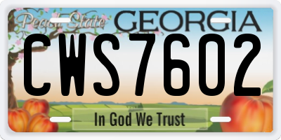 GA license plate CWS7602
