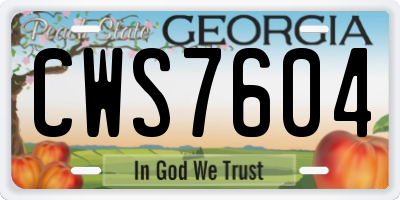GA license plate CWS7604
