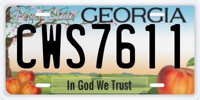 GA license plate CWS7611