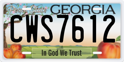 GA license plate CWS7612