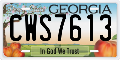 GA license plate CWS7613
