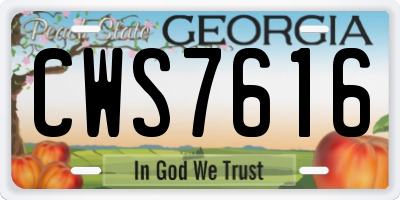 GA license plate CWS7616