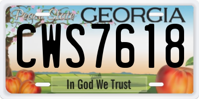 GA license plate CWS7618