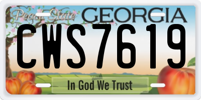 GA license plate CWS7619