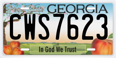 GA license plate CWS7623