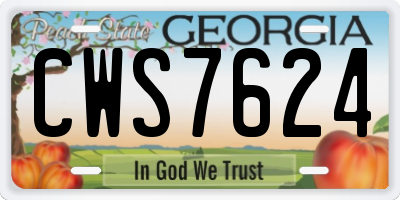 GA license plate CWS7624