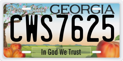 GA license plate CWS7625