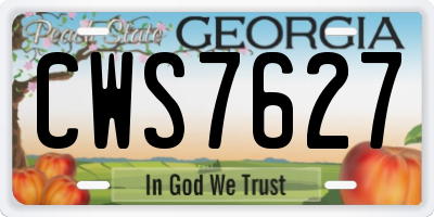 GA license plate CWS7627