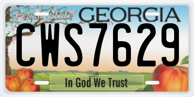 GA license plate CWS7629