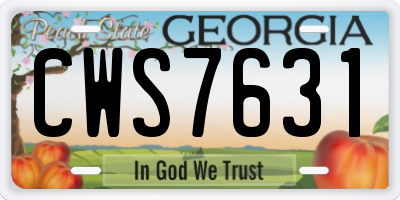 GA license plate CWS7631