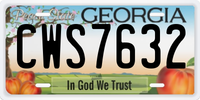 GA license plate CWS7632