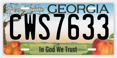 GA license plate CWS7633