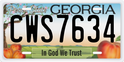 GA license plate CWS7634
