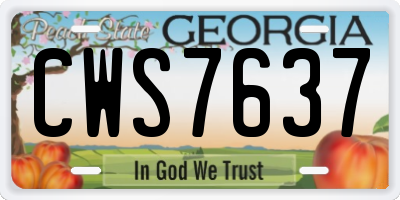 GA license plate CWS7637