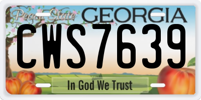 GA license plate CWS7639