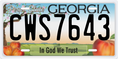 GA license plate CWS7643