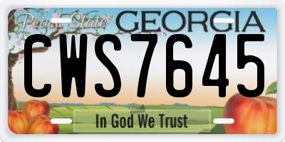 GA license plate CWS7645