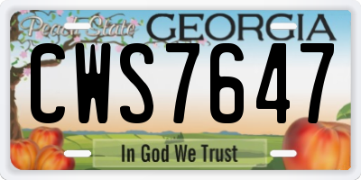 GA license plate CWS7647