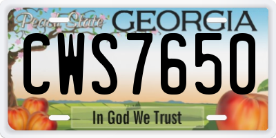 GA license plate CWS7650