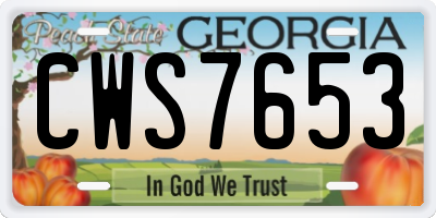 GA license plate CWS7653