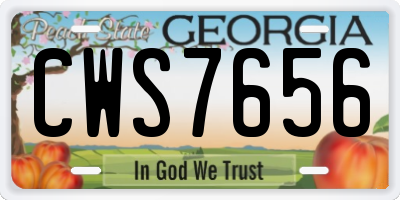 GA license plate CWS7656