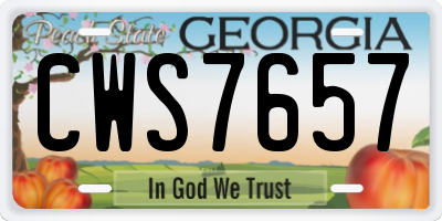 GA license plate CWS7657