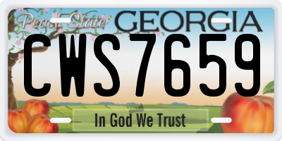 GA license plate CWS7659