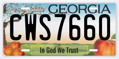 GA license plate CWS7660