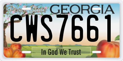GA license plate CWS7661