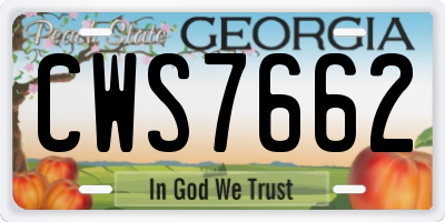 GA license plate CWS7662