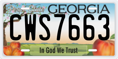 GA license plate CWS7663