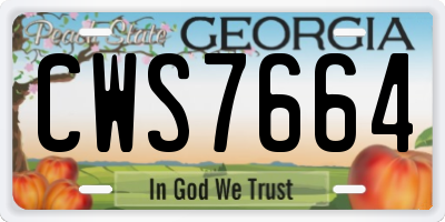 GA license plate CWS7664