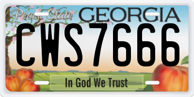 GA license plate CWS7666